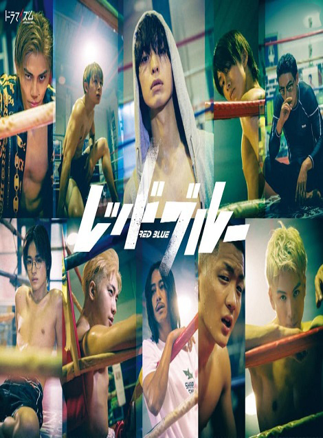 [DVD]  レッドブルー