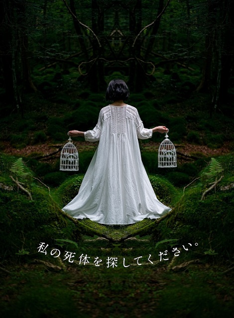 [DVD]  私の死体を探してください。