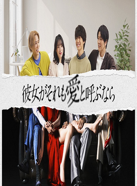 [DVD] 彼女がそれも愛と呼ぶなら