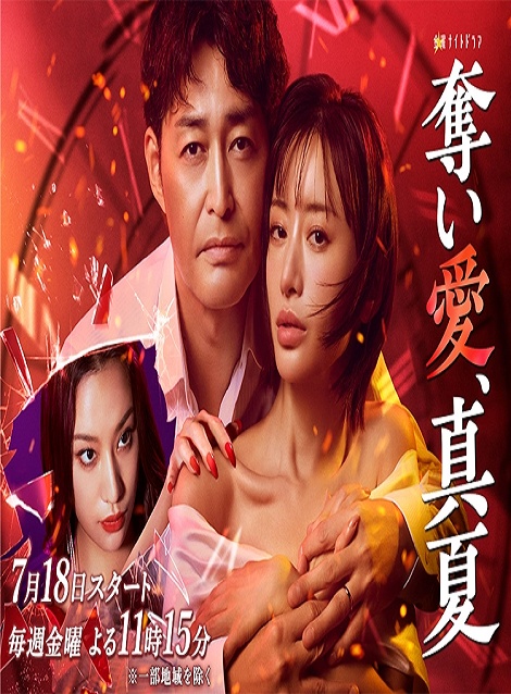 [DVD] 奪い愛、真夏