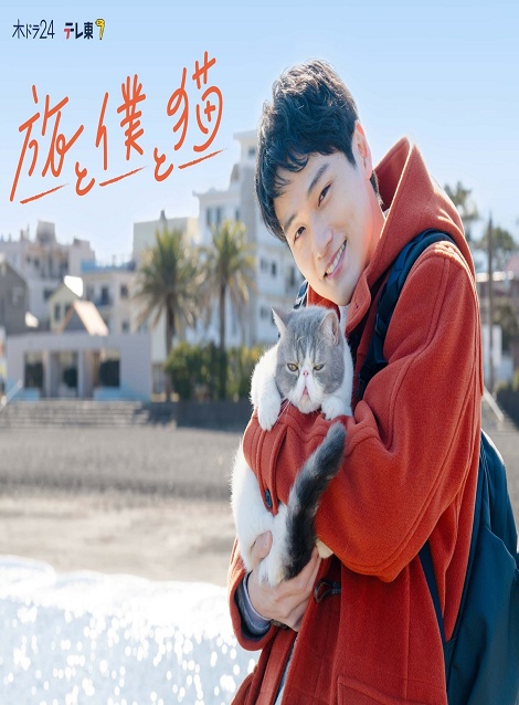 [DVD] 旅と僕と猫