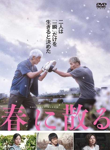 [DVD] 春に散る