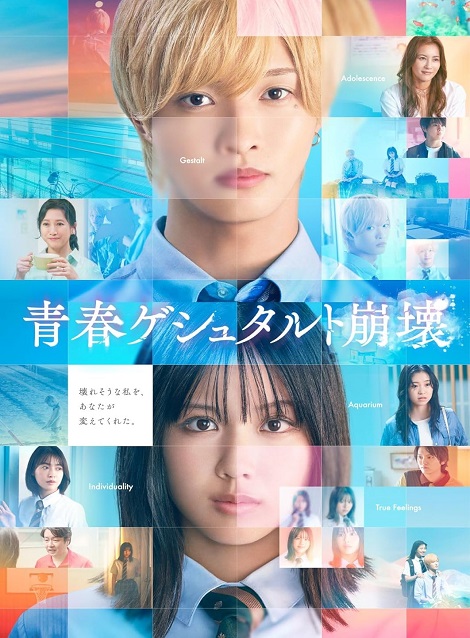 [DVD] 青春ゲシュタルト崩壊