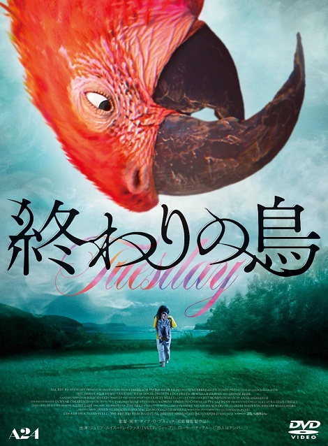[DVD] 終わりの鳥