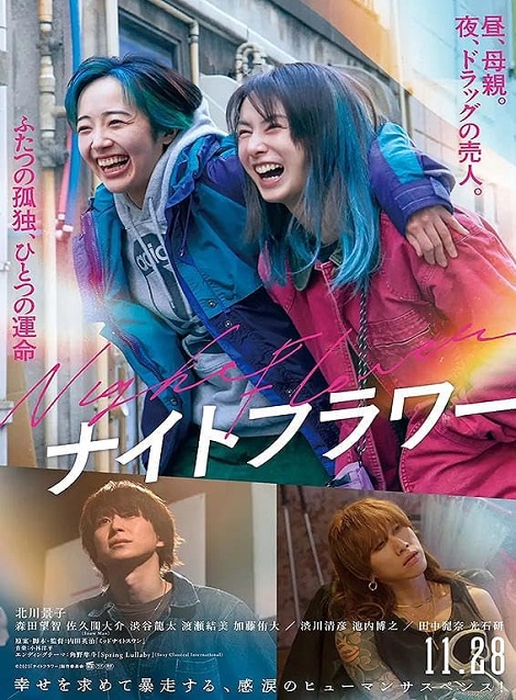 [DVD]  ナイトフラワー