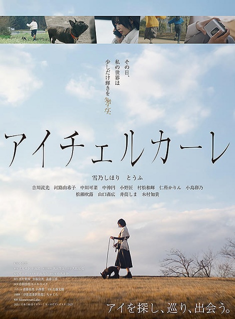 [DVD]  アイチェルカーレ