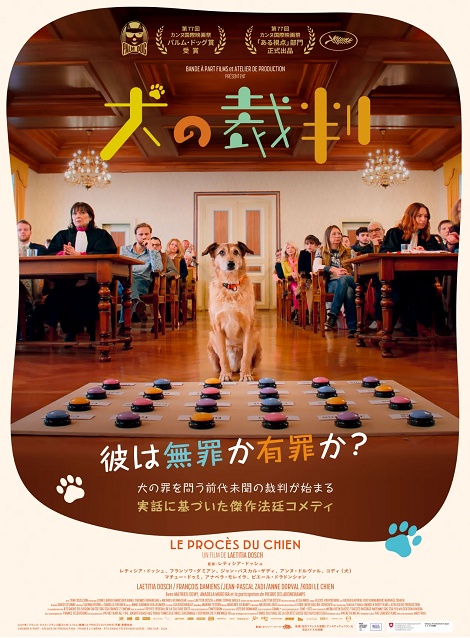 [DVD] 犬の裁判