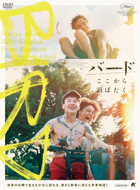 [DVD] バード　ここから羽ばたく