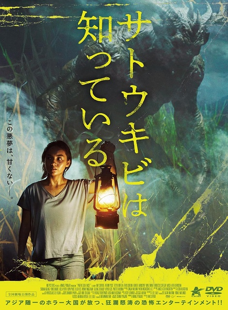 [DVD] サトウキビは知っている